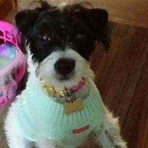 Meet your Posher, Nancy